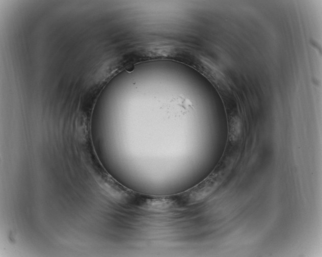 X0000099320414200805021317