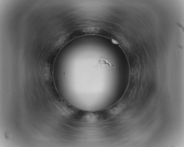 X0000099320416200805021317