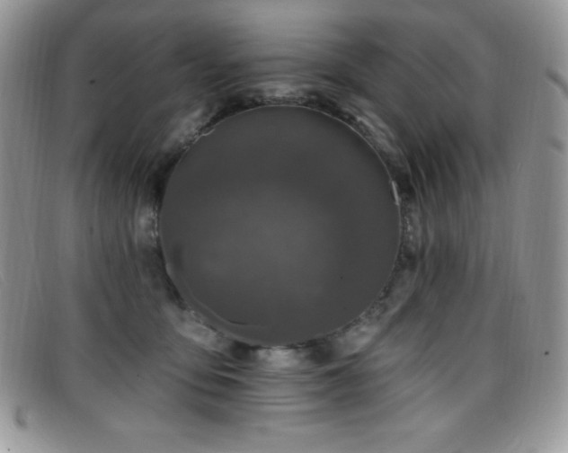 X0000099320419200805021317