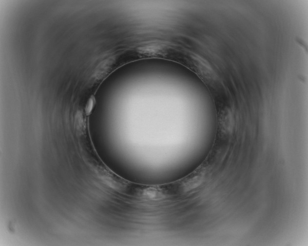 X0000099320420200805021317