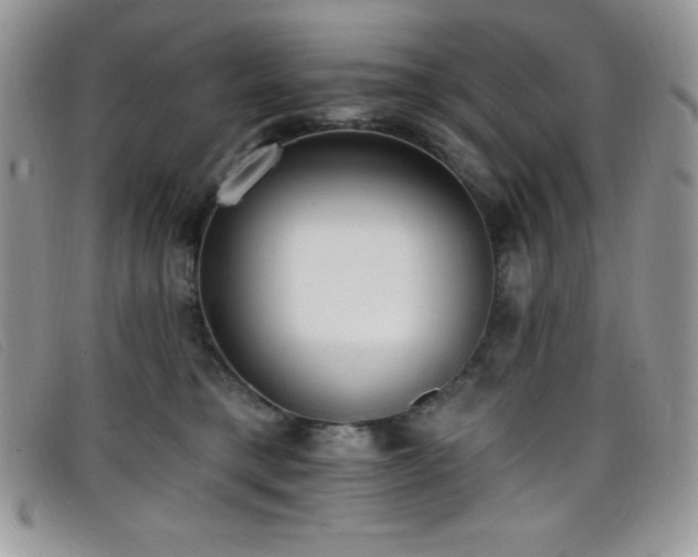 X0000099320421200805021317