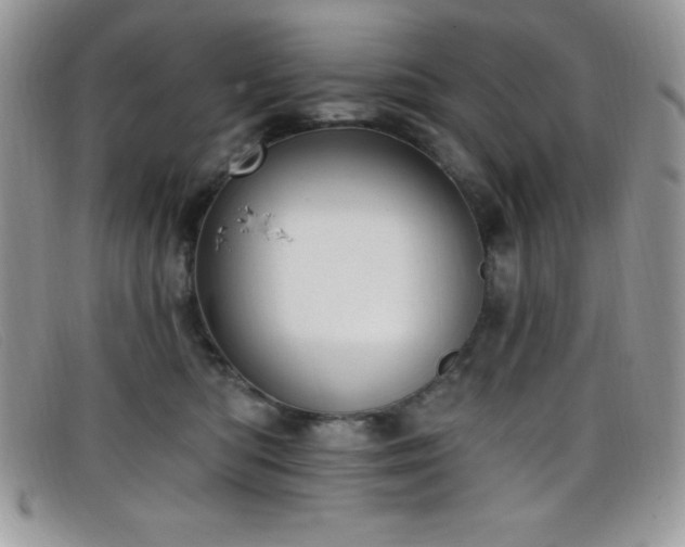 X0000099320422200805021317