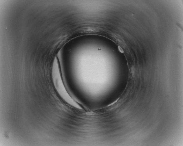 X0000099320423200805021317