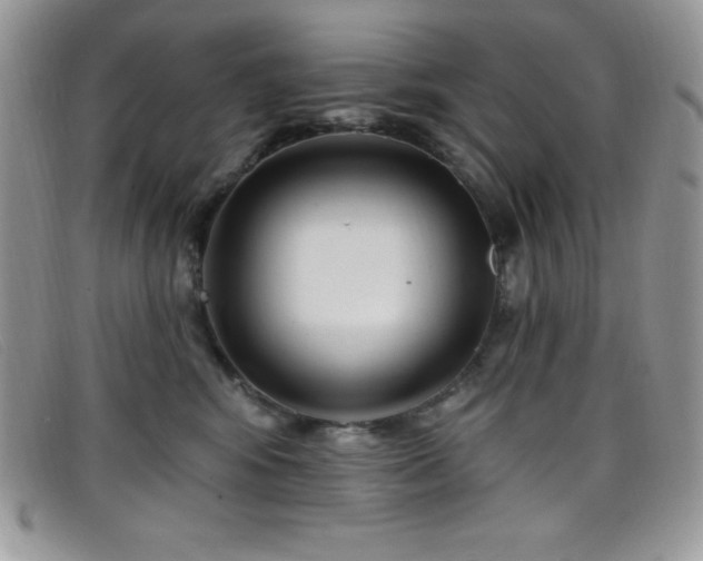 X0000099320424200805021317