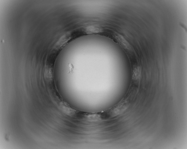 X0000099320426200805021317