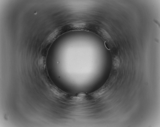 X0000099320428200805021317