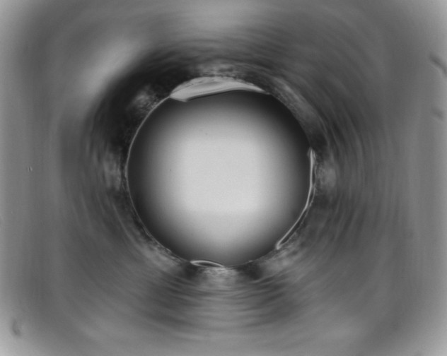 X0000099320429200805021317