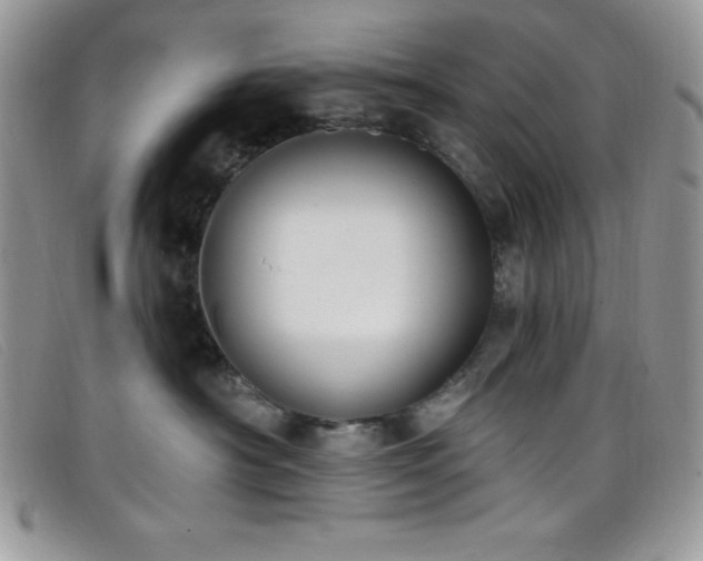 X0000099320430200805021317