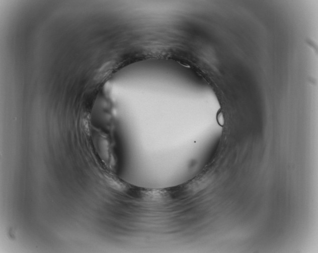 X0000099320432200805021317