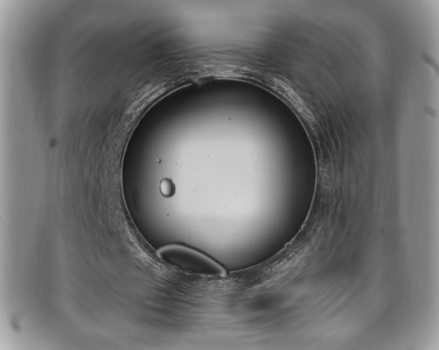 X0000099320433200805021316