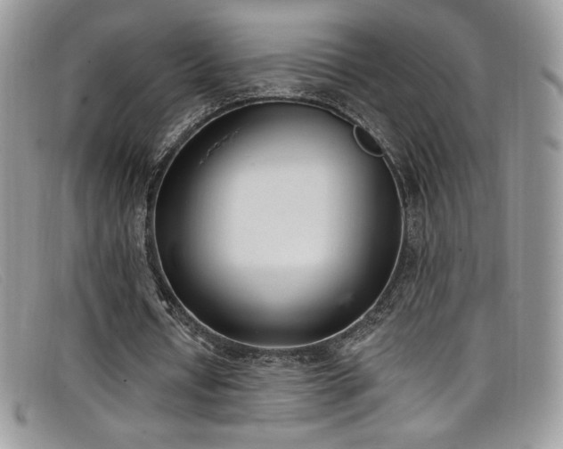 X0000099320434200805021317