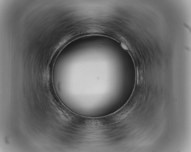 X0000099320435200805021317