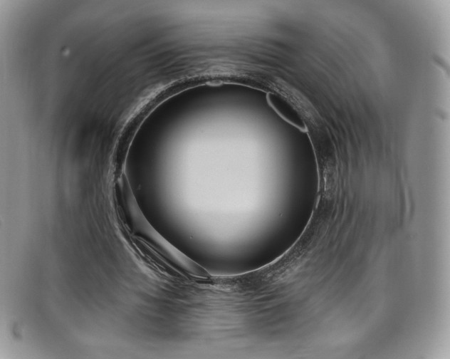 X0000099320436200805021317