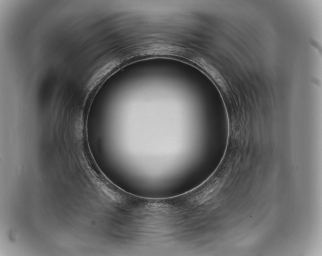 X0000099320437200805021317