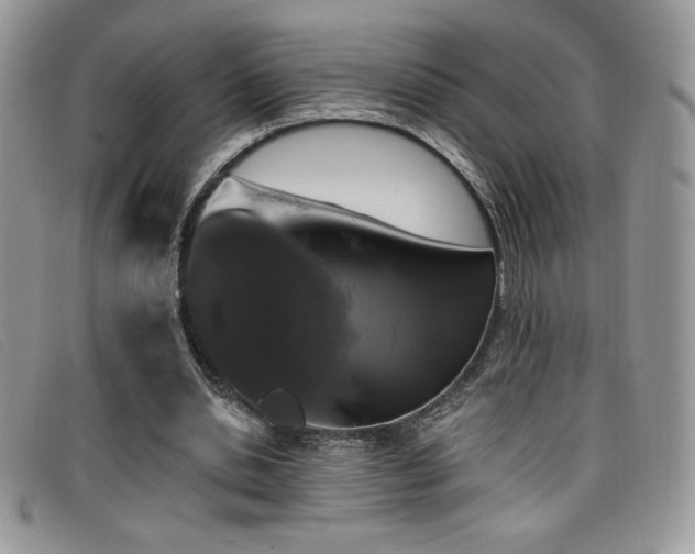 X0000099320438200805021317