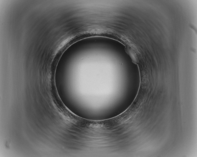 X0000099320440200805021317