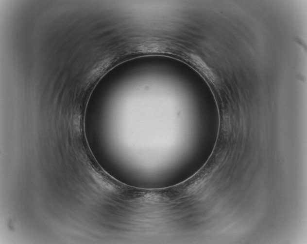 X0000099320441200805021317