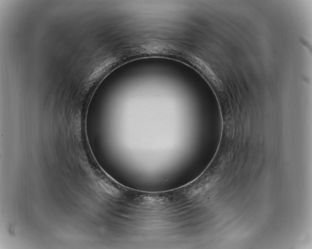 X0000099320442200805021317