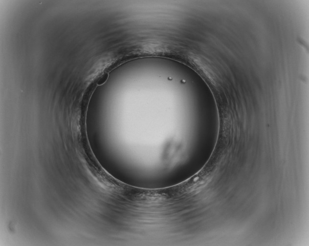 X0000099320443200805021317