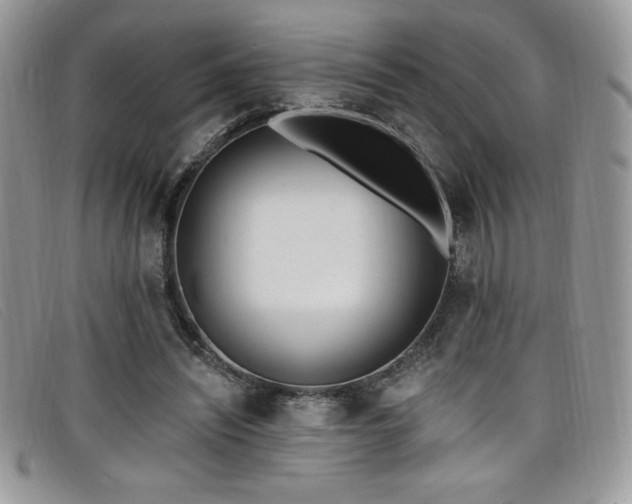 X0000099320444200805021317