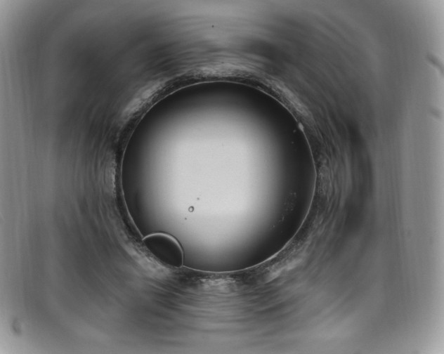 X0000099320446200805021317