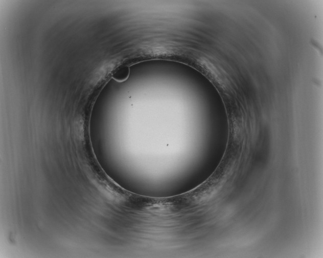 X0000099320447200805021317