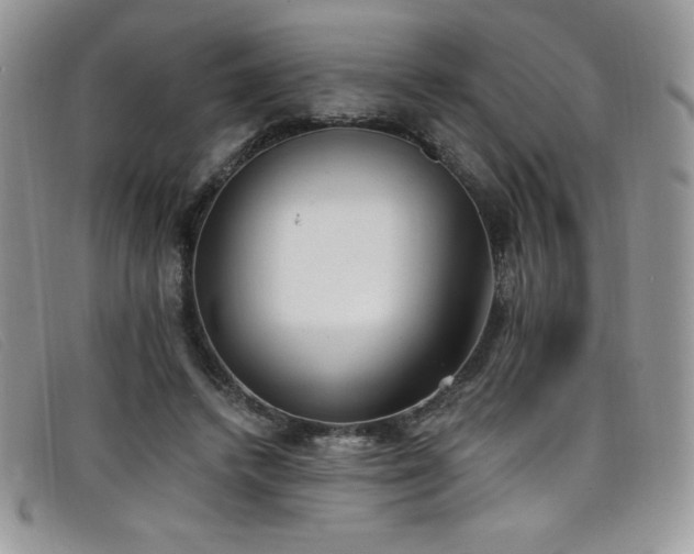 X0000099320448200805021317