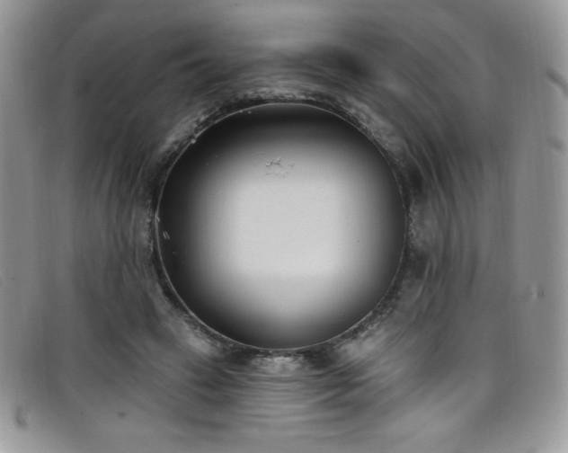 X0000099320449200805021317