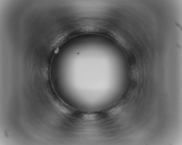 X0000099320450200805021317