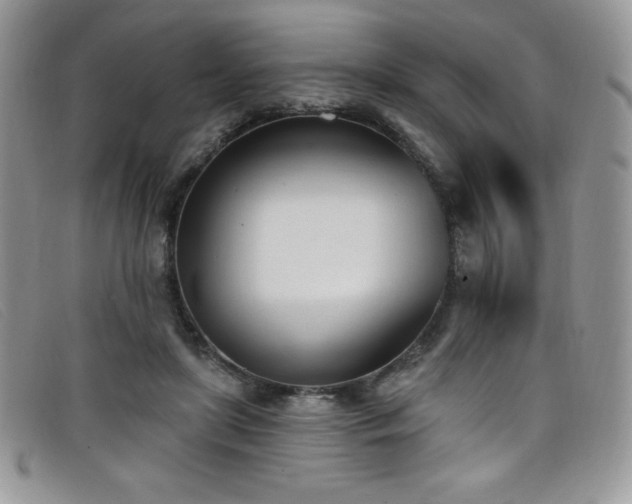 X0000099320451200805021317