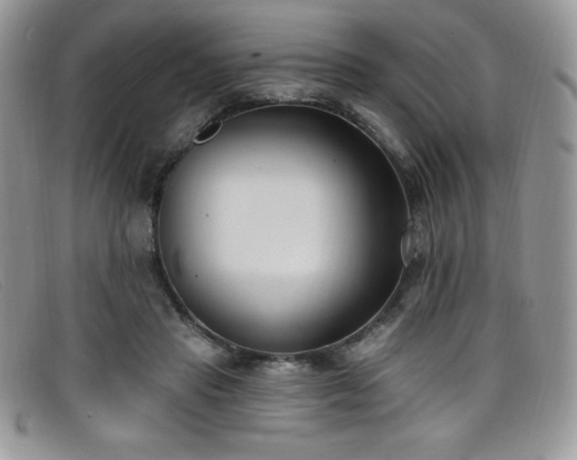 X0000099320453200805021317