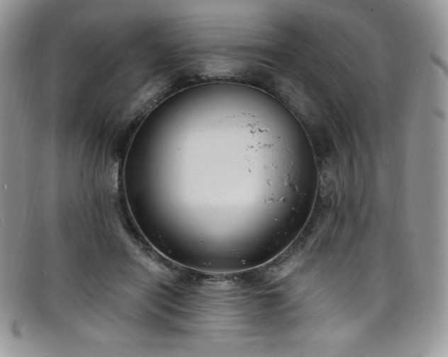 X0000099320454200805021317