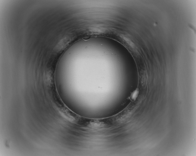 X0000099320455200805021317