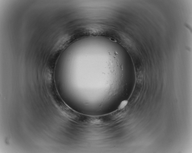 X0000099320456200805021317