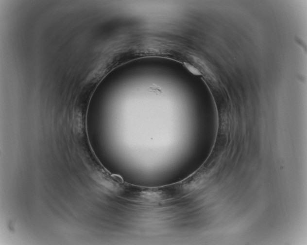 X0000099320457200805021317