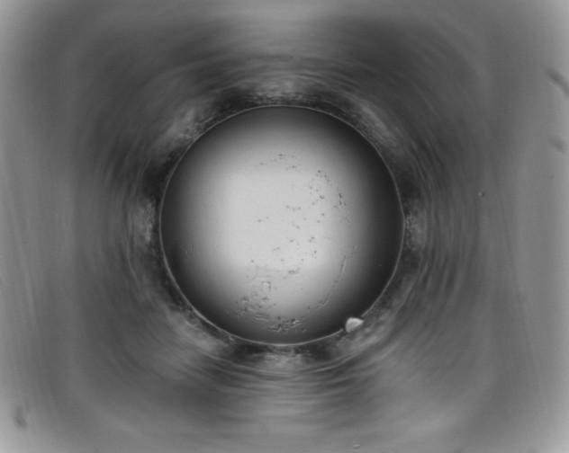 X0000099320458200805021317