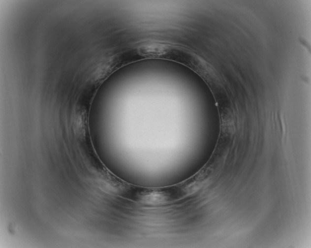 X0000099320460200805021317