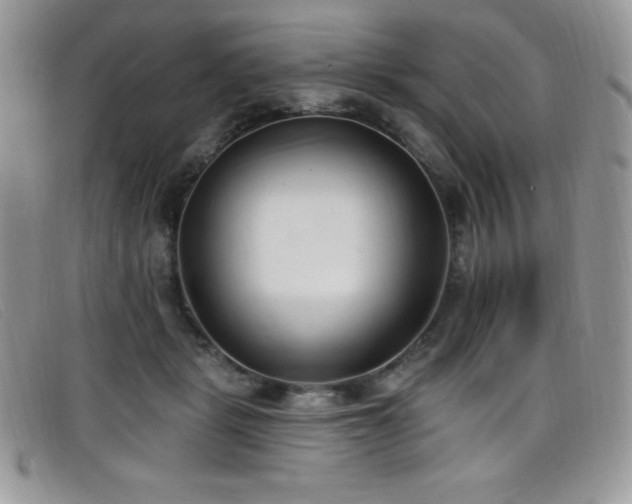 X0000099320461200805021317