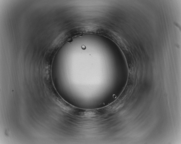 X0000099320462200805021317