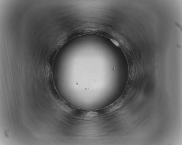 X0000099320463200805021317