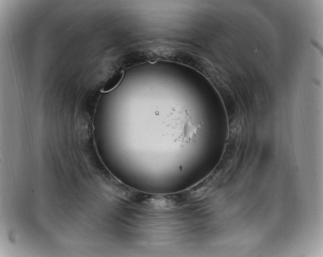 X0000099320464200805021317