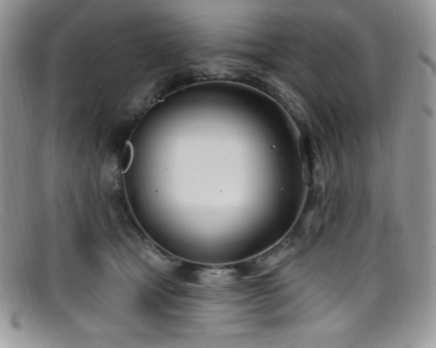 X0000099320465200805021317