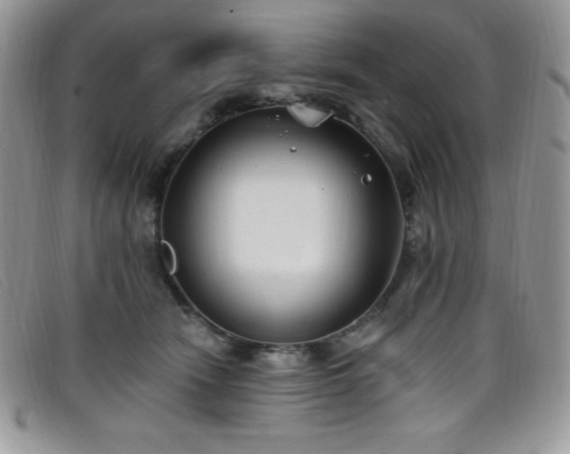 X0000099320466200805021317