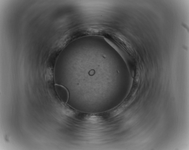 X0000099320467200805021317