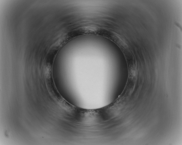 X0000099320468200805021317