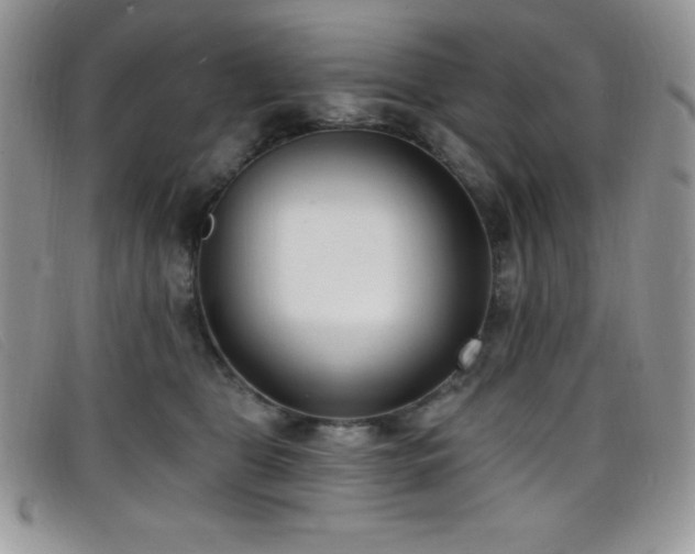 X0000099320469200805021317