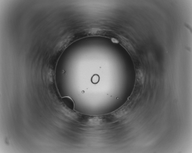 X0000099320470200805021317