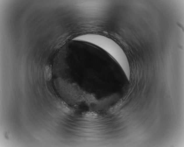 X0000099320471200805021317