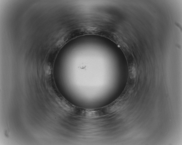 X0000099320472200805021317