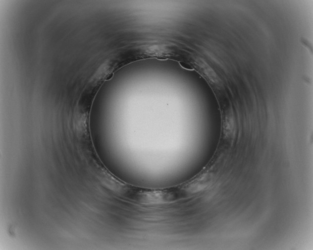 X0000099320473200805021317